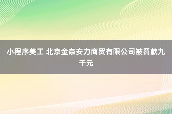 小程序美工 北京金奈安力商贸有限公司被罚款九千元