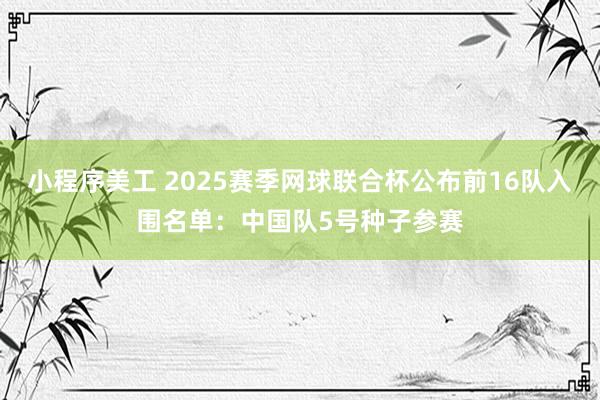 小程序美工 2025赛季网球联合杯公布前16队入围名单：中国队5号种子参赛